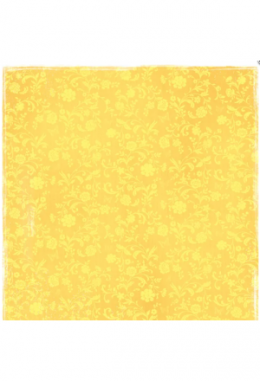 Sommartider- Badshorts