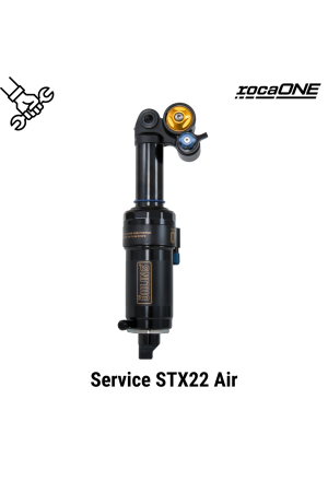 Service - Öhlins STX22 Air 
