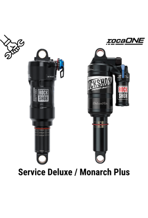 Service - RockShox Deluxe / Monarch Plus
