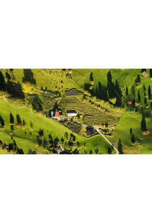 Zeltplatz im Weinberg