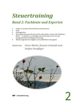 Steuertraining Band 2