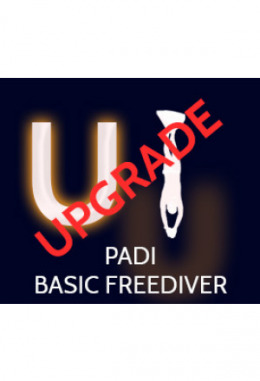 PADI Basic Freediver UPGRADE