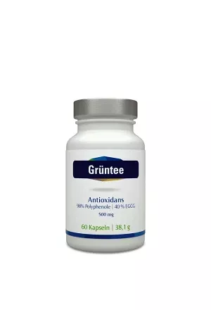 Estratto di tè verde Ds 60 pz