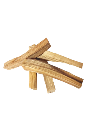 Palo Santo Holzstücke