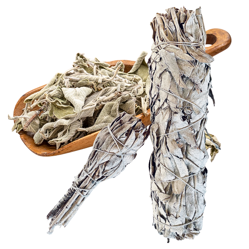 Weisser Salbei kaufen