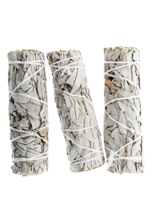 Bündel Weisser Salbei 3er Pack