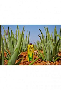 1L Tripack Forever Aloe Vera Gel 3l 