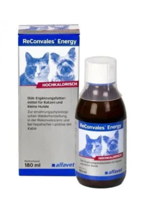 ReConvales Energy