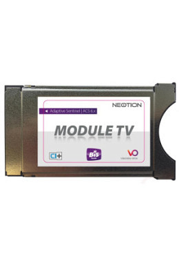 Module CI Viaccess Dual BIS READY 