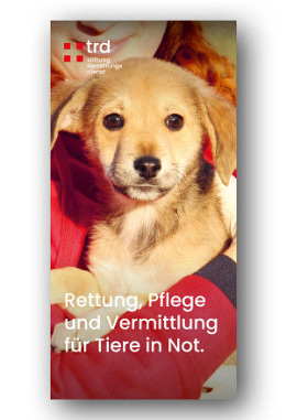 Informationsbroschüre