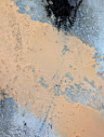 Bild 8 von 14