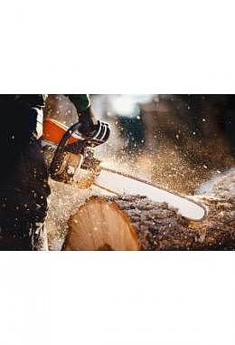  Einführung neue Mitarbeiter für Wald- / Forstbetriebe