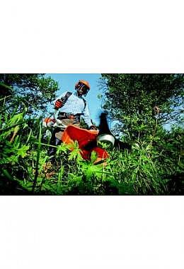 Zu Hause sicher arbeiten