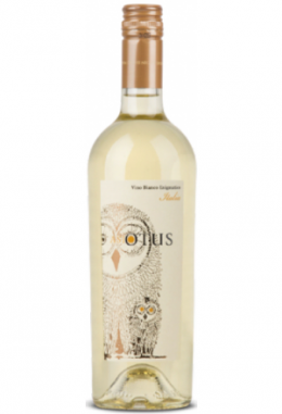 Asio Otus bianco amabile Vino d’Italia..