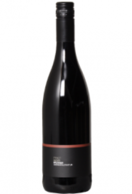Brunner Pinot Noir VDP Schweiz (2024) ..