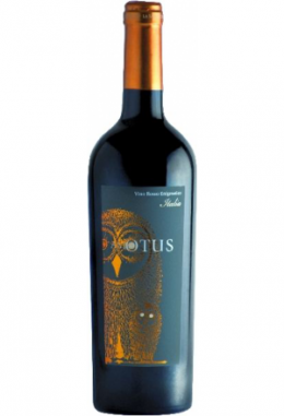 Asio Otus Vino Rosso Enigmatico Italia..