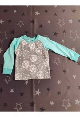 Pullover Raglan Pusteblume grau/mint Grösse 74/80
