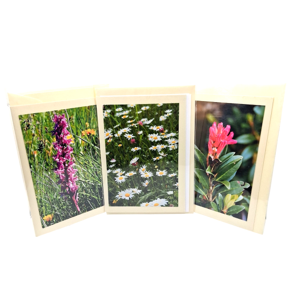 BLUMEN