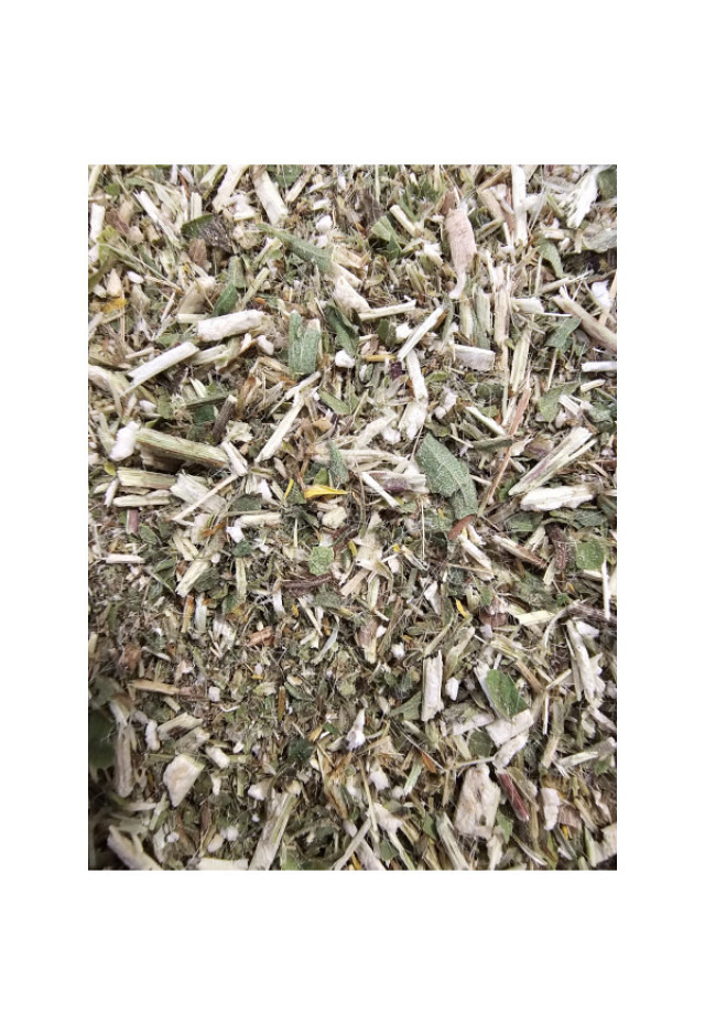 Goldrutenkraut 10g