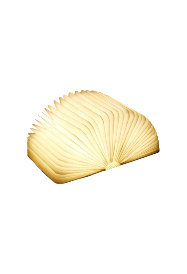Buchlampe LED Wood Pappel