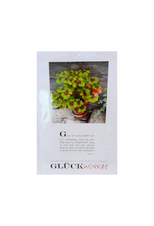 Glück WUNSCH 8