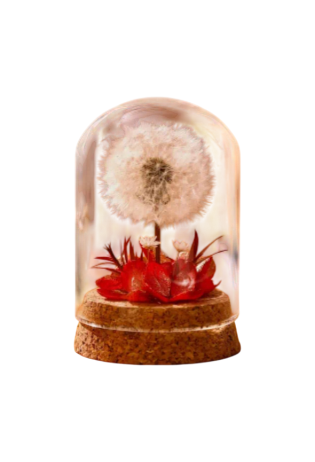 Ewige Pusteblume