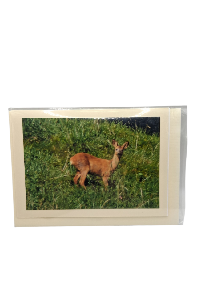 Karte mit Bambi