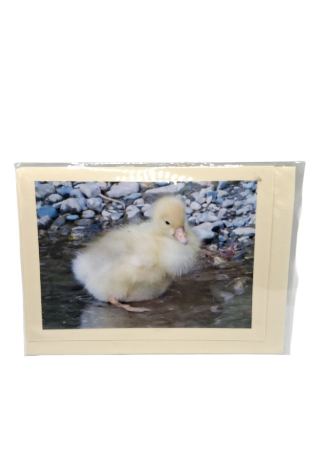 Karte mit Ente